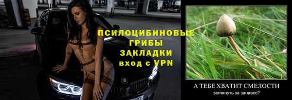 mix Горнозаводск
