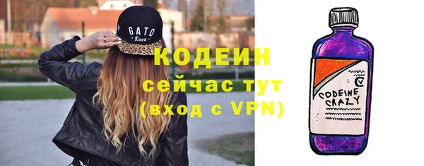 твердый Горняк