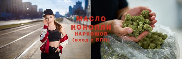 твердый Горняк