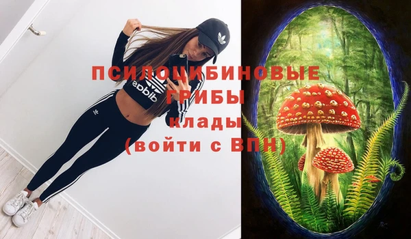 твердый Горняк